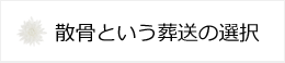 散骨
